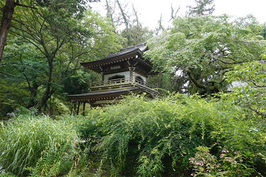 DSC08669_R