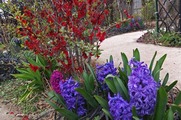 DSCF1824_R