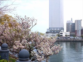 DSCF8030_R