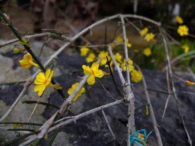 DSCF1247_R
