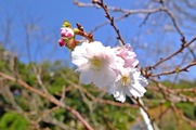 DSCF6183_R
