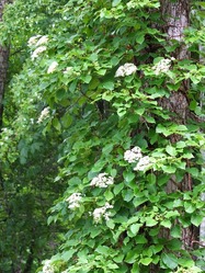 DSCF0970_R