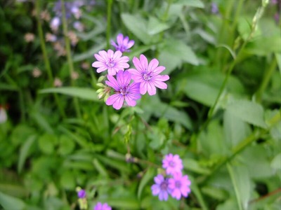 DSCF2611_R