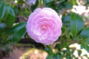 DSCF2026_R