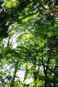 DSCF3096_R