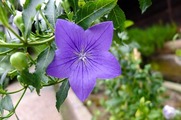 DSCF5064_R