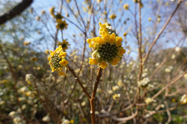 DSC05824_R
