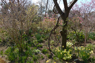 DSC05948_R
