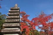 DSCF7825_R