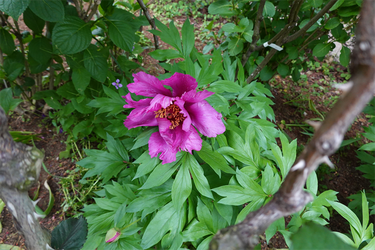 DSC06884_R