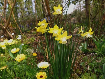 DSCF1657_R