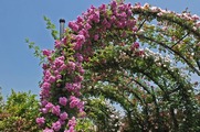 DSCF3256_R
