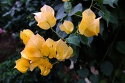 DSCF9084_R