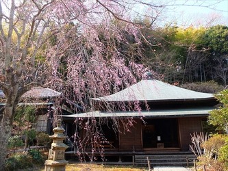 DSCF8844_R