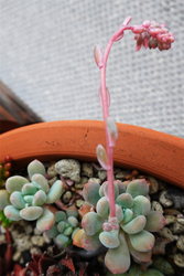 DSC06324_R