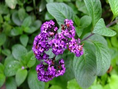 DSCF9774_R