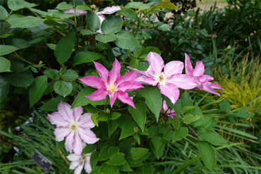 DSC06855_R