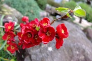 DSCF1545_R