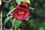 a084cbbc.jpg