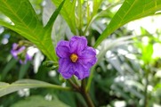 DSCF4386_R