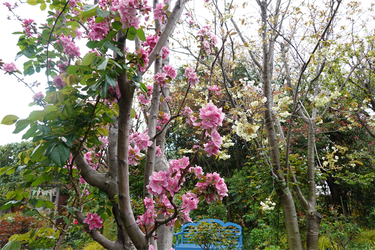 DSC06527_R