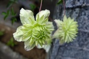 DSCF2825_R