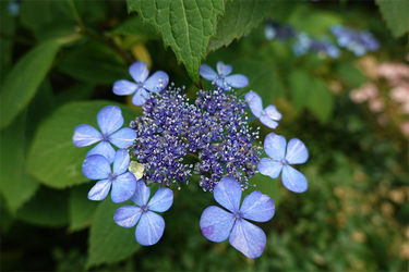 DSC08108_R