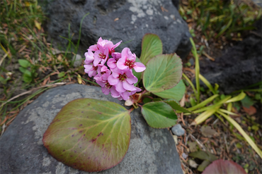 DSC05814_R