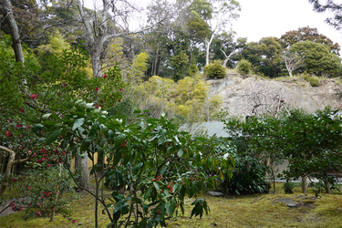 DSC05716_R