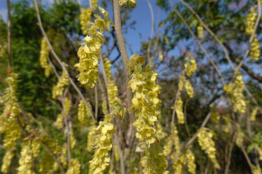 DSC06402_R