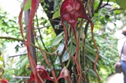 DSCF4231_R
