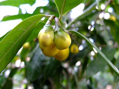 DSCF4097_R