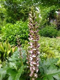 DSCF2329_R