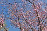 DSCF1948_R