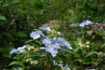 DSC07565_R