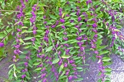 DSCF5416_R