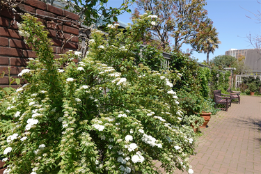 DSC06669_R