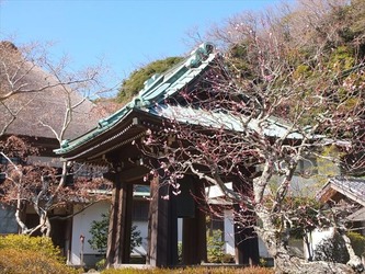 DSCF8424_R
