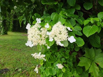 DSCF0972_R