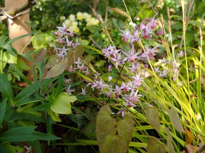 DSCF1613_R