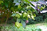 DSCF5282_R