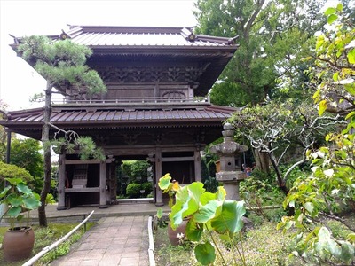 DSCF8560_R