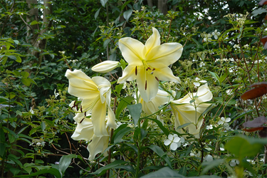 DSC08449_R