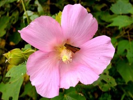 DSCF5152_R