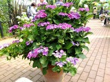DSCF2370_R
