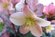 DSCF9608_R
