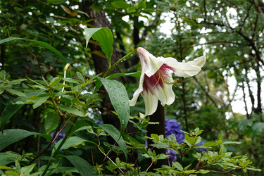 DSC08577_R