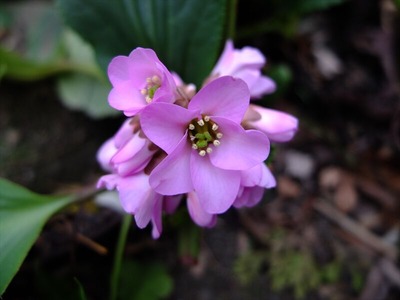 DSCF1219_R