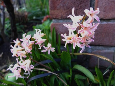 DSCF4688_R