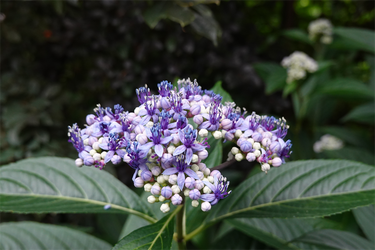 DSC08326_R